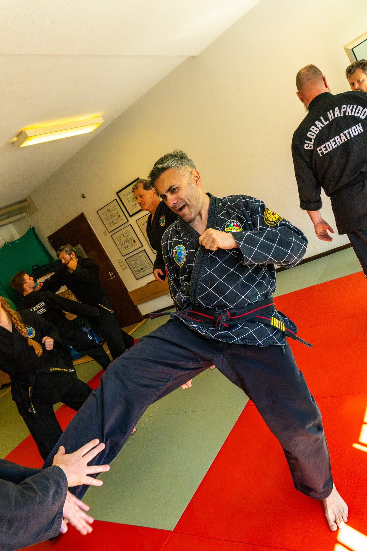 Global Hapkido Federation · Fotos